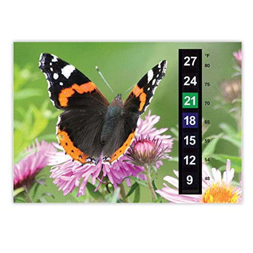 A5 Adult Large Scale Room Thermometer - Butterfly