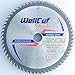 Price comparison product image WELLCUT Saw Blade 165mm, Bore 20mm, 60 Teeth, 1.6mm Kerf for Festool Bosch Makita DeWalt etc. Industrial Quality Tungsten Carbide Tipped (TCT)