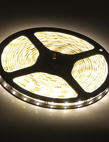 XUEQIANGWarm White Light LED Strip Lamp (12V)