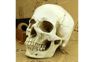 SWL-seller White Resin Replica Skull 1:1 Realistic Life Size Human Anatomy Halloween Decor