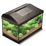 Aquael 5905546192163 Aquarium Set Leddy Led 40, 25 Liter Komplett Aquarium Mit Moderner Led Technik