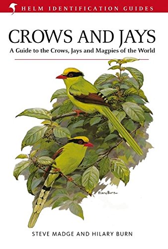 Télécharger Crows and Jays: A Guide to the Crows, Jays and Magpies of the World PDF Ebook En Ligne