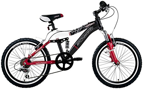 biciclette schiano