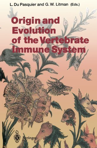 Origin and Evolution of the Vertebrate Immune System (Current Topics in Microbiology and Immunology) (2000-01-01) francais Origin and Evolution of the Vertebrate Immune System (Current Topics in Microbiology and Immunology) (2000-01-01) francais