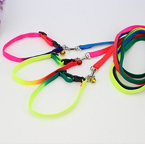 DaWa-1-Pcs-12m-Durable-Pet-Dog-Nylon-Adjustable-Loop-Training-Leash-Slip-Lead-Traction-Rope-Dog-Chain-Belt-Pet-Dog-SuppliesColorful