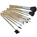 Fash Limited Professional Makeup Brush Set,12 Pc, For Eye Shadow, Blush, Eyeliner,Eyebrow....
