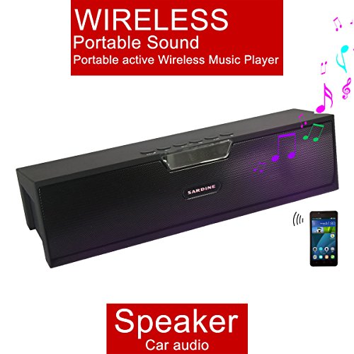 Sardine SDY019 Altavoz Est  reo Inal  mbrico Port  til al Aire Libre Soporte a FM Radio USB TF   MicroSD USB Negro