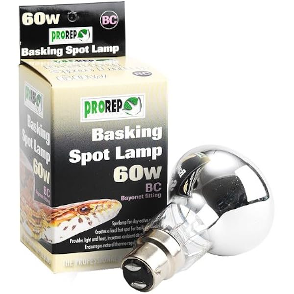 60 watt basking bulb