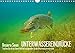 Produktbild Unsere Seen (Wandkalender 2018 DIN A4 quer): Die Seen vor unserer Tür bergen unschätzbare Eindrücke. Schauen Sie selbst und tauchen Sie mit mir ab. ... [Kalender] [Apr 01, 2017] Hohlfeld, Daniel