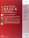 Image de Gray. Anatomía Básica (+ StudentConsult)