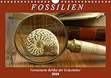Kalender Fossilien - Versteinerte Relikte der Erdzeitalter (Wandkalender 2018 DIN A4 quer): Einen Querschnitt durch die Vielfalt der Fossilien (Geburtstagskalender, 14 Seiten ) (CALVENDO Wissenschaft)
