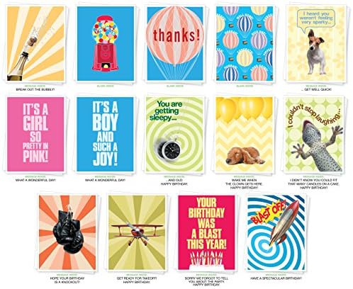 Assorted Occasion Premium Greeting Cards - Bulk Set of 14 Cards Including: Birthday, Thank You, New Baby, Congratulations and Get Well