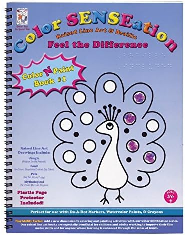Raised Line and Braille Color-N-Paint Art Book-1 by PlayAbility Toys