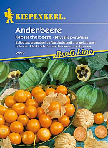 Sperli Gemüsesamen Andenbeere Kapstachelbeere, grün