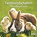 Tierfreundschaften (BK) 226719 2019: Broschürenkalender mit Ferienterminen by