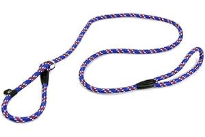 LANGING Hundeleine Pet Chain Cesar Millan Leine und Halsband Stil 140cm Flüsterer Slip Training Korrektur