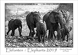 Elephants / Elefanten 2019: A3 Schwarz-Weiß-Wandkalender der faszinierenden Elefanten Afrikas. DIN A3 Querformat: 42x29 cm. by 
