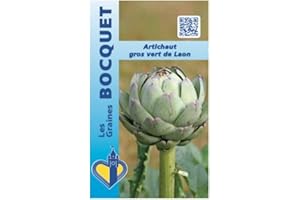 Les Graines Bocquet - Graines De Artichaut Gros Vert De Laon - Graines Potagères À Semer - Sachet De 2Grammes