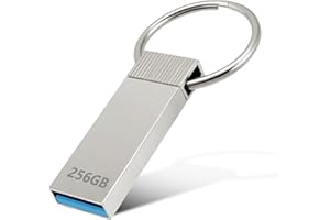 POXFUN Chiavetta USB 256GB, Alta Velocità Pen Drive 3.0 Metallo Chiavette USB Impermeabile Pendrive Argento Flash Drive Capacità di Memorizzazione dei Dati Elevata, con Portachiavi
