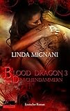 Image de Blood Dragon 3: Drachendämmern