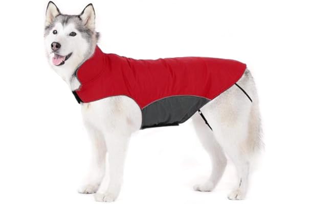 dog jackets amazon