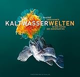 Image de Unbekannte Kaltwasserwelten: In den Tiefen des Nordpazifiks