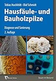 Image de Hausfäule- und Bauholzpilze: Diagnose und Sanierung