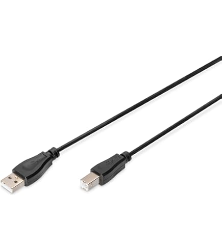 Autocollant Vinyle Pare-chocs Wisconsin Souvenir Voyage - Décalcomanie Multicolore