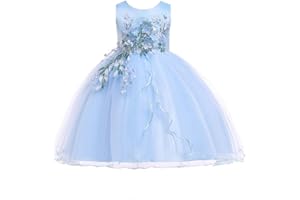 LENEFU Baby Girl Princess Bridesmaid Pageant Gown Birthday Party Wedding Dress Sleeveless Party Dresses Girl Clothes