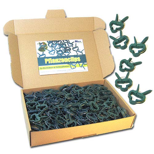 MGS SHOP Pflanzenclips 100 Stück stabile Clips Pflanzenklammern für kleine & große Triebe Spaliere Rosenbögen Rankhilfen (100er-Set KLEIN)