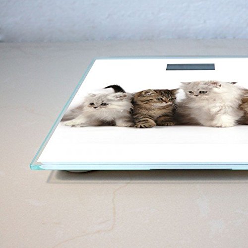 banjado – Personenwaage digitale Körperwaage 30cm x 30cm aus Glas mit Motiv Kaetzchen - 3