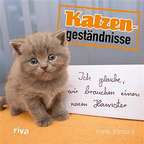 Download Katzengeständnisse: Ich glaube, wir brauchen einen neuen Hamster Download Katzengeständnisse: Ich glaube, wir brauchen einen neuen Hamster