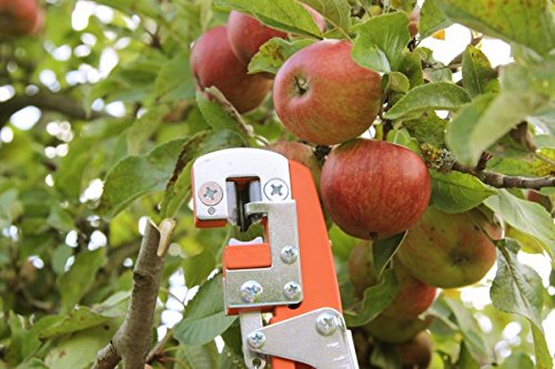 Gartenpaul Veredelungsschere | Premium | Veredelungszange inkl. 3 Messer | Omega | V | Okulation - 2