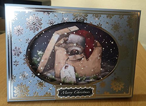 3D Box Christmas/Xmas Card - Teddy Bear