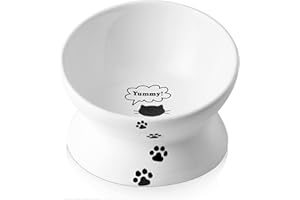 Y YHY Cat Bowls, 6.1″ Raised Cat Bowls, 15° Tilted Cat Feeding Bowls, Premium Ceramic Cat Bowl, Elevated Cat Bowl, Pet Dishes & Bowls, Food & Water Bowls for Cats & Small Dogs, Dishwasher Safe-White