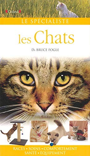 CHATS CHATS