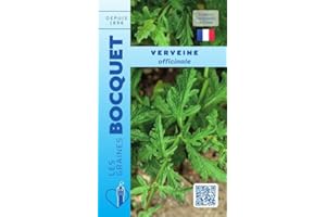 Sachet de graines de verveine Officinale- Les Graines Bocquet