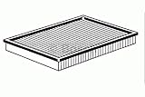 Tipo de filtro: Cartucho filtrante