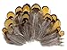 Produktbild ERGEOB 100 stück Huhn Porn Fasanenfedern Haar natürliche Farbe 4-8cm