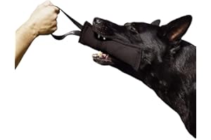 DINGO GEAR WWW.DINGOGEAR.COM 1977 Dingo Gear K9 IGP & Fun Jouet à mâcher en nylcot pour Dressage de Chien Noir 28 x 7 cm