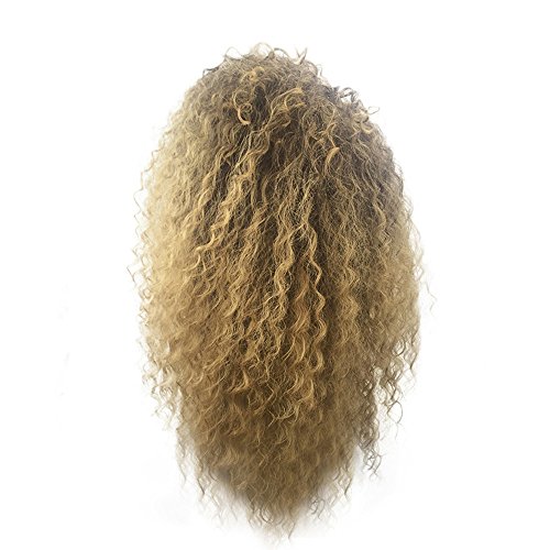 LUBITY Perruques Bresilien Naturel Couleur Naturel pour Femme Blonde Perruque frisée crépue Perruque synthétique Douce Perruques Afro-américaines Perruque Petite Boucle 60cm