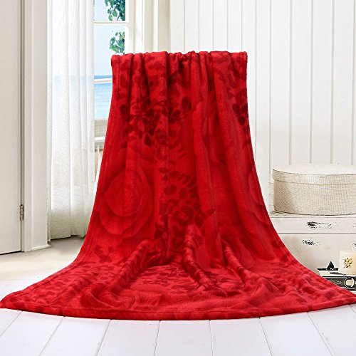 Hffan TV-Decke 70 X100Cm Flanell Verdicken Klimaanlage Decke Superweiche Warme Warme Micro Plüsch Fleecedecke Teppich Sofa Bettwäsche Supersoft Mikrofaser Wohndecke/Sofadecke/Reisedecke