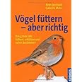 Vögel füttern - aber richtig