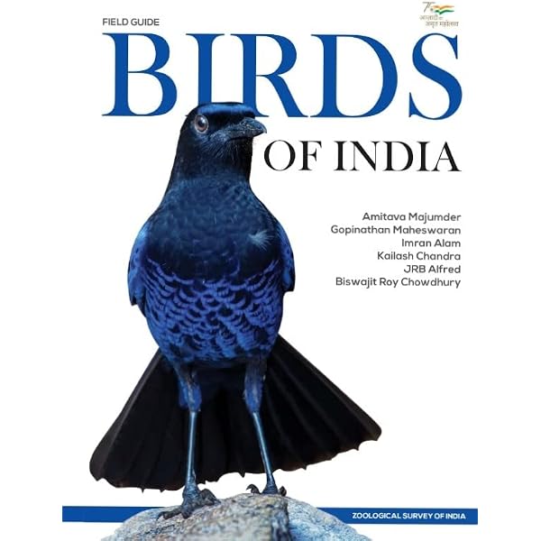 Buy Birds of South Asia: The Ripley Guide Book Online at Low