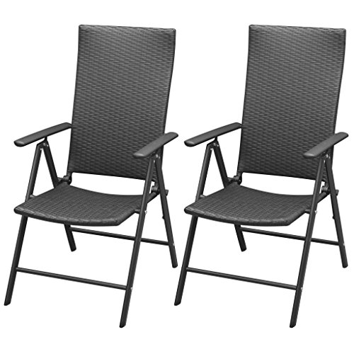 Vidaxl 2x Garden Chairs Poly Rattan Alum Buy Online In Cambodia At Desertcart