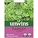 Produktbild Unwins Petersiliensamen - Laura