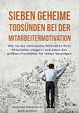 Image de Sieben geheime Todsünden bei der Mitarbeitermotivation: Wie Sie die intrinsische Motivation Ihrer M