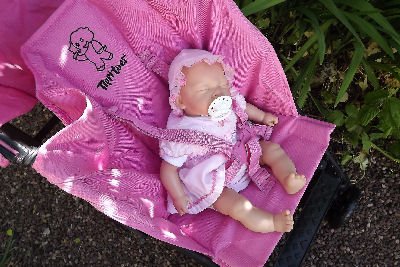 PRIMROSE Lifesize 18