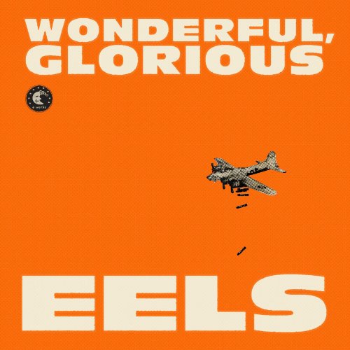 couverture de : Wonderful, glorious