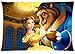 Produktbild Beauty And The Beast Classic Disney Pandora Design Custom Zippered Pillow case/Kissenbezüge 20*30 inches (twin sides print)